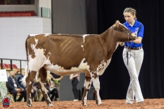 2A9A5488-30410 2A9A5488-30410