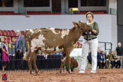 2A9A5491-30411 2A9A5491-30411