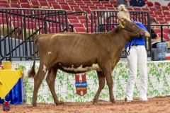 2A9A5497-30413 2A9A5497-30413