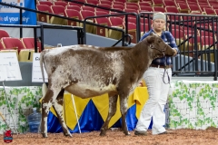 2A9A5499-30414 2A9A5499-30414