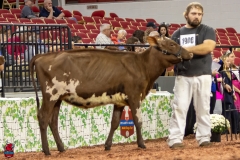 2A9A5502-30415 2A9A5502-30415