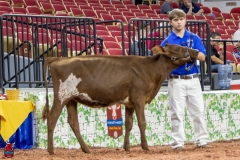 2A9A5503-30416 2A9A5503-30416