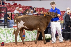 2A9A5506-30418 2A9A5506-30418