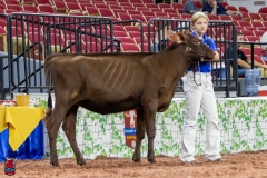 2A9A5508-30419 2A9A5508-30419