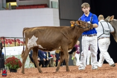 2A9A5512-30421 2A9A5512-30421