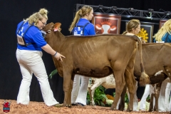 2A9A5521-30423 2A9A5521-30423