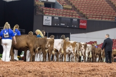 2A9A5525-30424 2A9A5525-30424