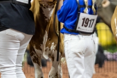 2A9A5531-30425 2A9A5531-30425