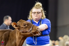 2A9A5534-30426 2A9A5534-30426