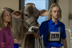 2A9A5541-30428 2A9A5541-30428