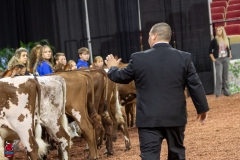 2A9A5547-30429 2A9A5547-30429