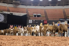 2A9A5560-30431 2A9A5560-30431