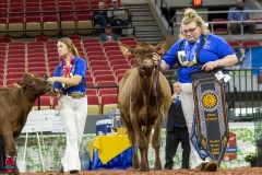 2A9A5565-30433 2A9A5565-30433