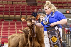 2A9A5568-30434 2A9A5568-30434