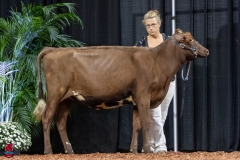 2A9A5576-30437 2A9A5576-30437