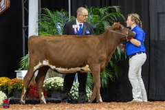 2A9A5578-30438 2A9A5578-30438