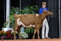 2A9A5582-30439 2A9A5582-30439