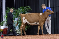 2A9A5583-30440 2A9A5583-30440