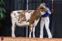 2A9A5587-30441 2A9A5587-30441