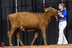 2A9A5590-30442 2A9A5590-30442