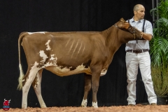 2A9A5591-30443 2A9A5591-30443