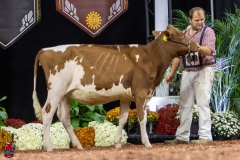 2A9A5592-30444 2A9A5592-30444