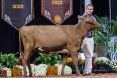 2A9A5600-30446 2A9A5600-30446