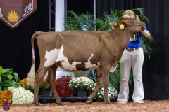 2A9A5603-30447 2A9A5603-30447