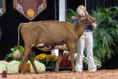 2A9A5604-30448 2A9A5604-30448