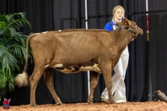 2A9A5605-30449 2A9A5605-30449