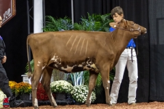 2A9A5607-30451 2A9A5607-30451