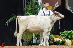 2A9A5611-30453 2A9A5611-30453