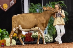 2A9A5614-30454 2A9A5614-30454