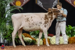 2A9A5616-30455 2A9A5616-30455