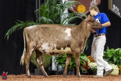 2A9A5619-30456 2A9A5619-30456