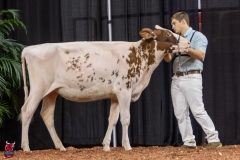 2A9A5620-30457 2A9A5620-30457