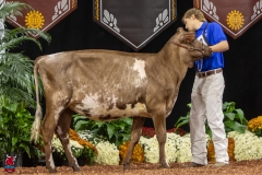 2A9A5621-30458 2A9A5621-30458