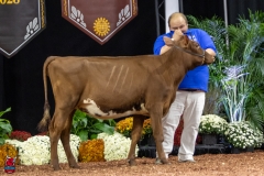 2A9A5622-30459 2A9A5622-30459