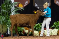 2A9A5625-30460 2A9A5625-30460