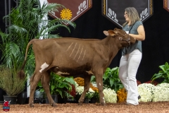 2A9A5637-30464 2A9A5637-30464