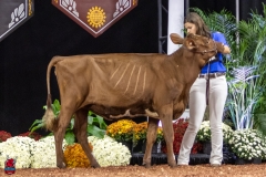 2A9A5639-30465 2A9A5639-30465