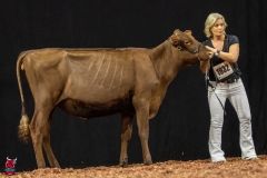 2A9A5641-30466 2A9A5641-30466