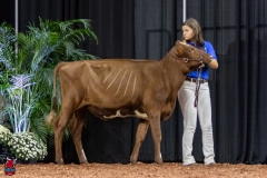 2A9A5643-30467 2A9A5643-30467