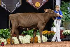 2A9A5644-30468 2A9A5644-30468