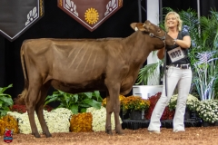 2A9A5646-30469 2A9A5646-30469