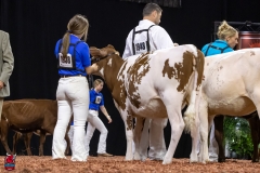 2A9A5663-30473 2A9A5663-30473