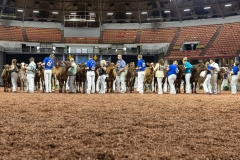 2A9A5672-30475 2A9A5672-30475