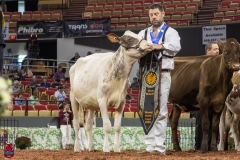 2A9A5683-30477 2A9A5683-30477