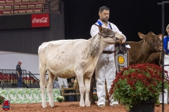 2A9A5688-30478 2A9A5688-30478