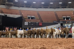 2A9A5698-30479 2A9A5698-30479